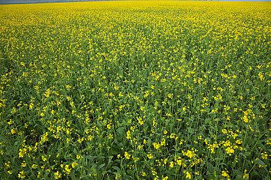 《漫威暗夜之子》“毒液”DLC发行日＆预告片公布